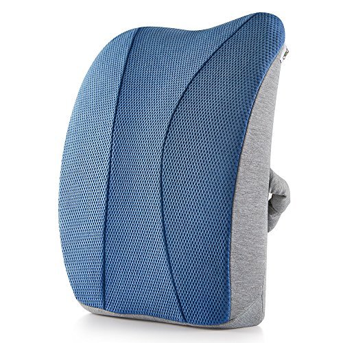 Jiaao Large Memory Foam Lumbar Support Pillow - Back Cushion for Car & Office Chairs, Back Pain Relief, Breathable Cover, Adjustable Strap (Light Blue)
