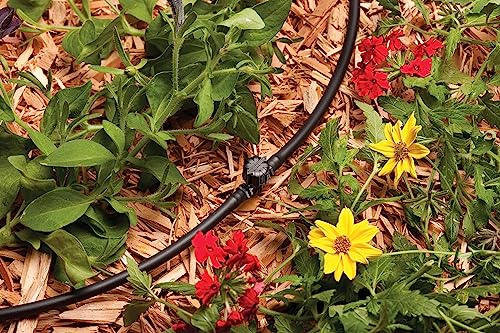 Rain Bird Bval25-2S Drip Irrigation Universal 1/4" Barbed Valve, 1/4" Tubing, 2-Pack #TOP1