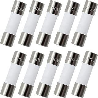 Pack of 10 pcs F10AL Fast-Blow Fuse 10A 10amp 250V Ceramic Fuses 0.2 x 0.79 inch / 5 x 20 mm (F10A Ceramic)
