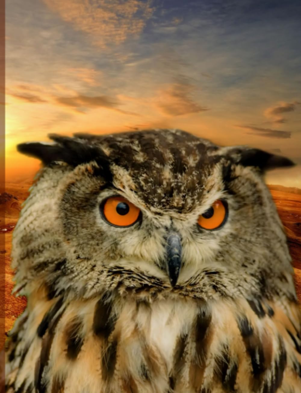 Wise Owl Sunset Composition Notebook, Narrow Ruled: 100 Sheets / 200 Pages, 9-3/4" X 7-1/2"