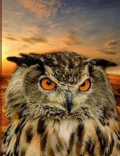 Wise Owl Sunset Composition Notebook, Narrow Ruled: Lined Student Exercise Book