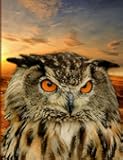 Wise Owl Sunset Composition Notebook, Narrow Ruled: Lined Student Exercise Book