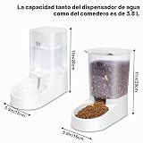 Ver la foto 4