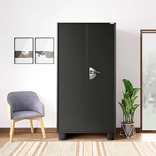 GODREJ INTERIO Storwel® M2 2-Door Steel Almirah (Graphite Grey) (1-Year Warranty, 1 Locker, 4 Shelves) Price In India