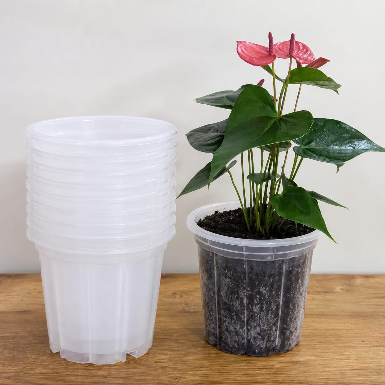 8 Inch Transparent Plant Pot with Drainage Holes | Pack of 10 | Clear Plastic Nursery Planter for Indoor & Outdoor Plants | Easy Root & Moisture Monitoring-image-46