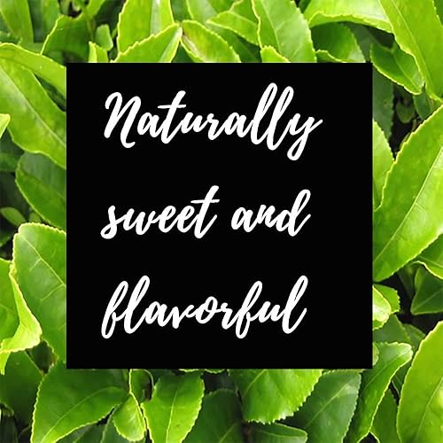 Miniatura 7 de Shangri-La Tea Company Bolsas de té helado, pasión tropical, sin azúcar y totalmente natural, prepara 2 cuartos por bolsa de té, (6 unidades) (5051)