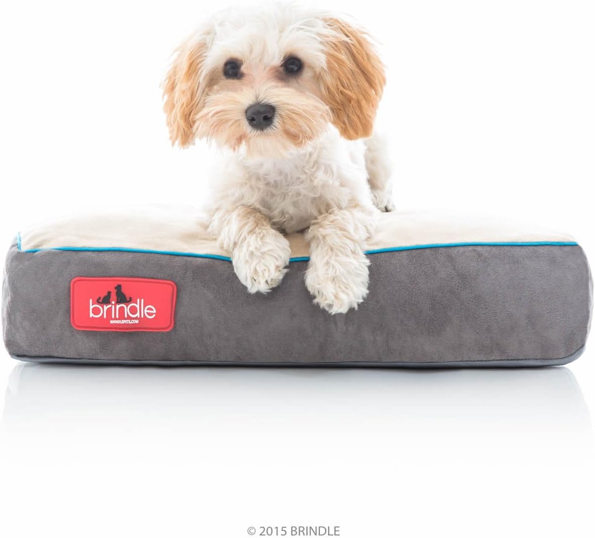 Brindle Khaki Shredded Memory Foam Dog Bed - Pet Essentials - Orthopedic Design - Crate Compatible - Machine Washable Cover - Indoor Pet Bed for Dogs, Puppies, Cats, and Rabbits - Size Small 17 x 11
