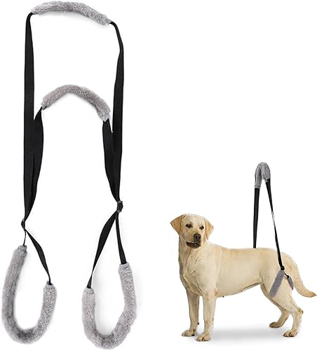 Miniatura 8 de Arnés de apoyo trasero para perros, patas traseras, arnés de apoyo para mascotas paralizadas o discapacitadas, eslingas de elevación para movilidad