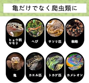 爬虫類シェルター 345 白マット×黒、ブルーとピンク、赤いヒトデ 爬虫類シェルター 345 白マット×黒、ブルーとピンク、赤いヒトデ