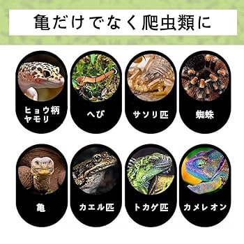 Amazon | 爬虫類 シェルター 洞窟を避ける 両生類 隠れ家 じゅし