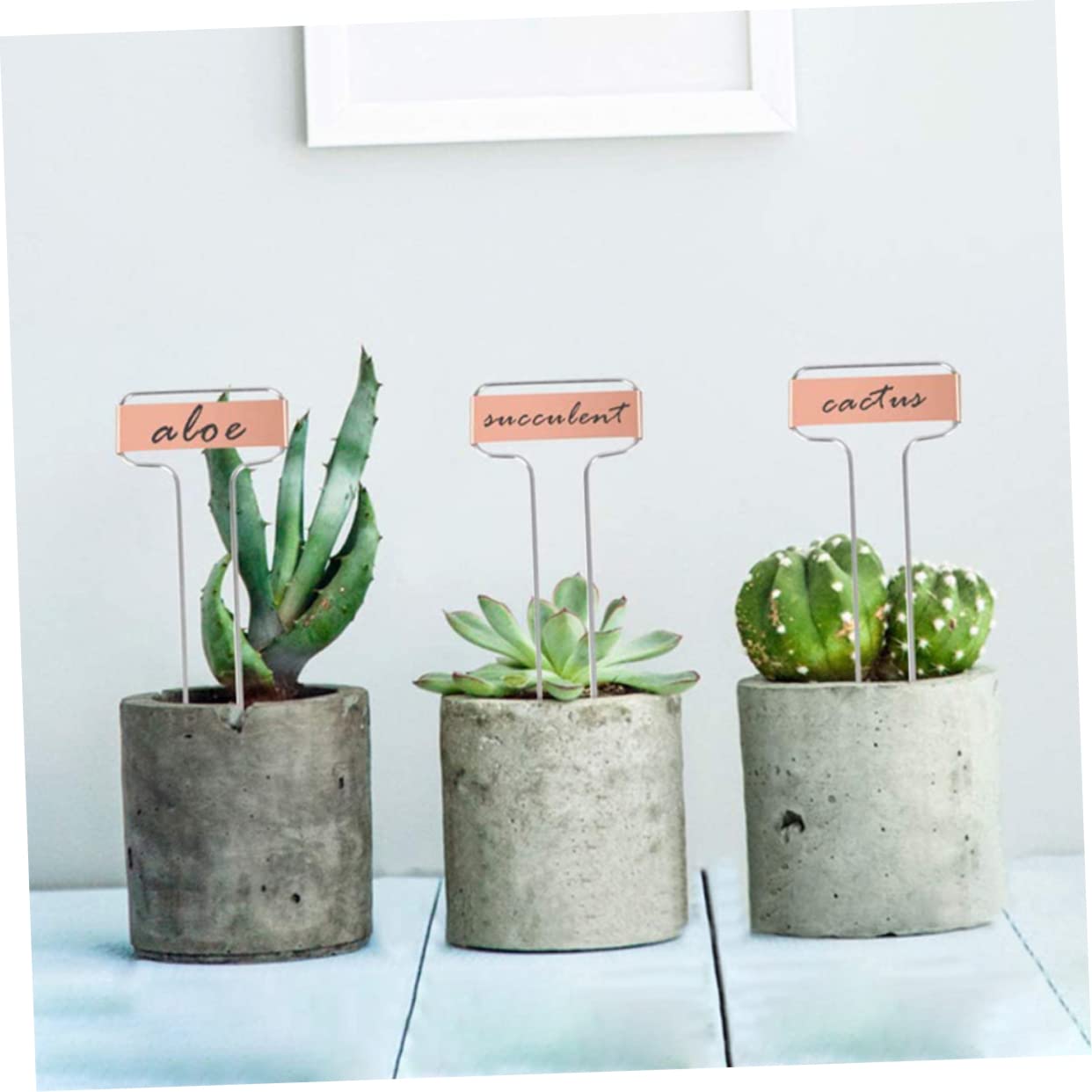 Etichette Pezzi da Piante Rame Giardino 20 Metallico | Design a Due Piedi, Riutilizzabili e Facili da Scrivere, per Ortaggi e Vaso