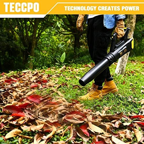TECCPO Leaf Blower, 18V 2Ah Lithium Ion, 2-Speed Cordless Axial Fan Design Lightweight Professional Sweeper, Battery and Charger Included, Ideal for Sidewalks and Decks in Garden - TDAB02G