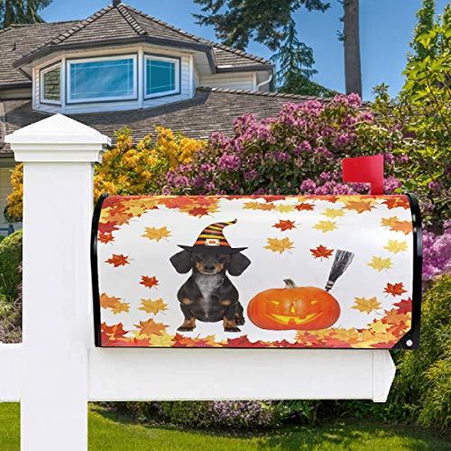 Preisvergleich Produktbild Oarencol Halloween Teufelswurst Dackel Hund Briefkasten, magnetischer Kürbis, Ahornblätter, Garten, Hof, Heimdekoration, Standardgröße 53,3 x 45,7 cm 25.5" X 21" Multi
