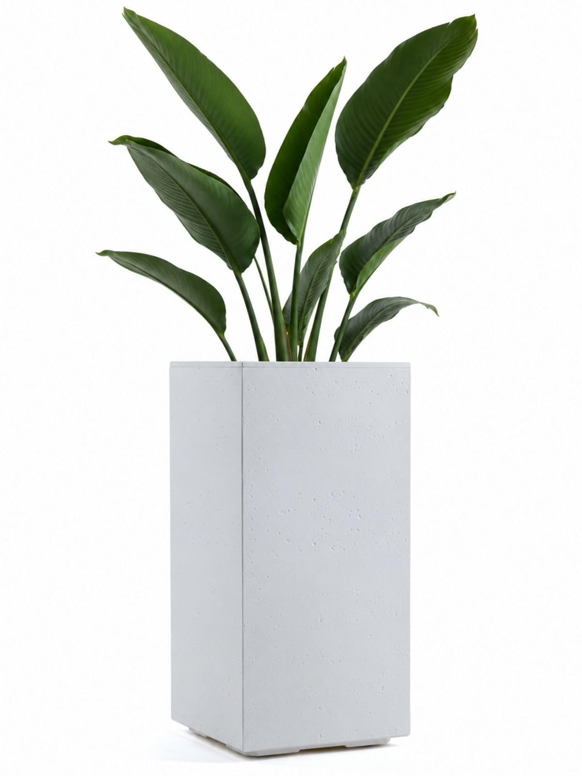 HowHomely Planter on Wheels 30 x 30 x H 60 cm Cream Plant Pot