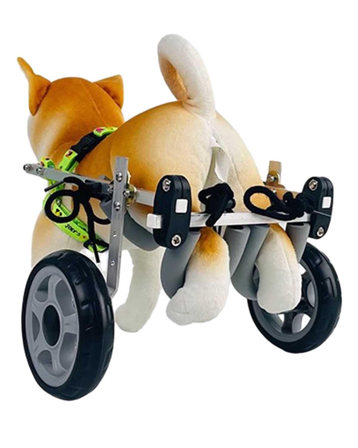 Fauteuil roulant haut de gamme pour petit chien et chat de 2.5 à 10 kg, chariot de marche ajusté