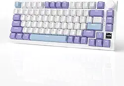 AJAZZ Teclado mecânico AK820PRO 75% Hot Swap com montagem em gaxeta com tela TFT, 4000mAh BT/2,4G/LED RGB virado para sul, controle de botão para E-Sport/Windows/Mac, interruptor de presente