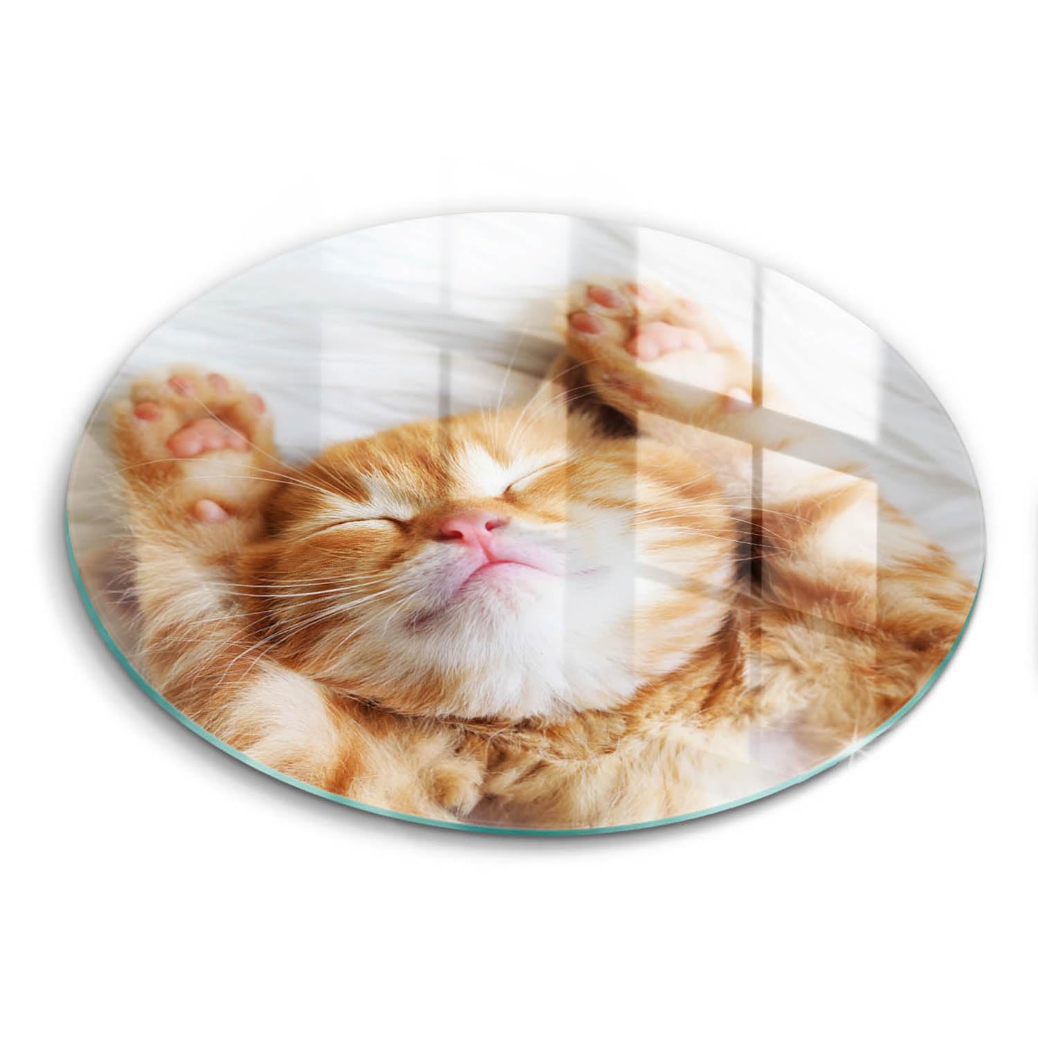 Plaque Cuisson Protection motif chat avec Planche à Découper Induction 30cm