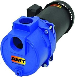 AMT Pump 316A-95 Sewage & Trash Pump, Cast Iron, 3 HP, 3 Phase, 230-460V, Curve A, 2" NPT Female Suction & Discharge Ports