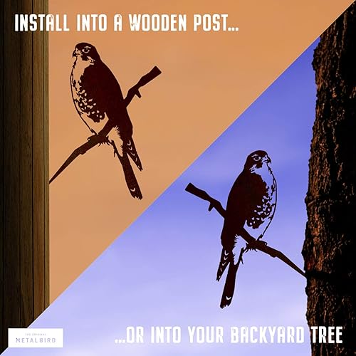 Miniatura 2 de Halcón peregrino - Adornos de árbol al aire libre en acero Corten - Arte de metal fabricado con orgullo en Estados Unidos