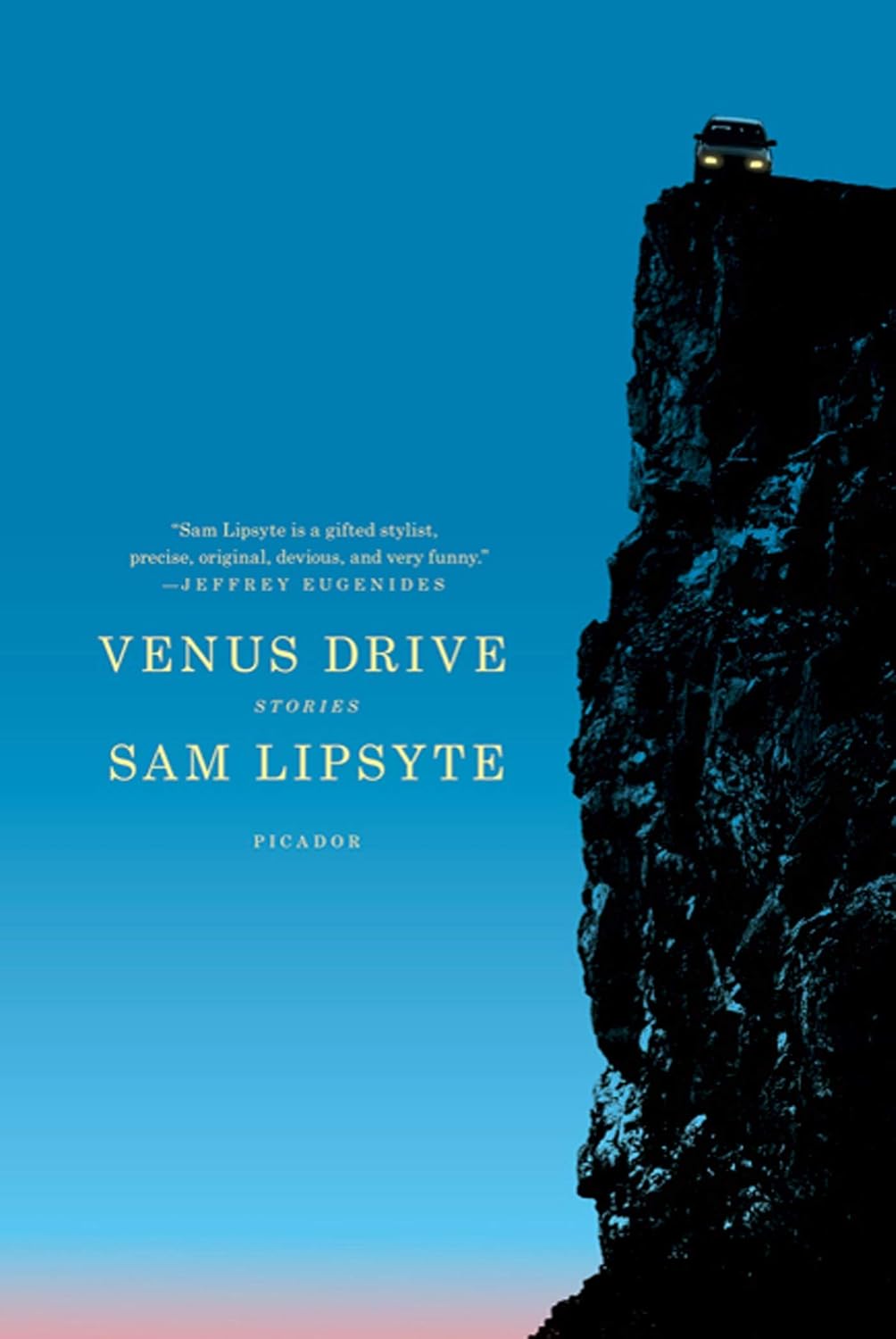 Sam Lipsyte's book cover