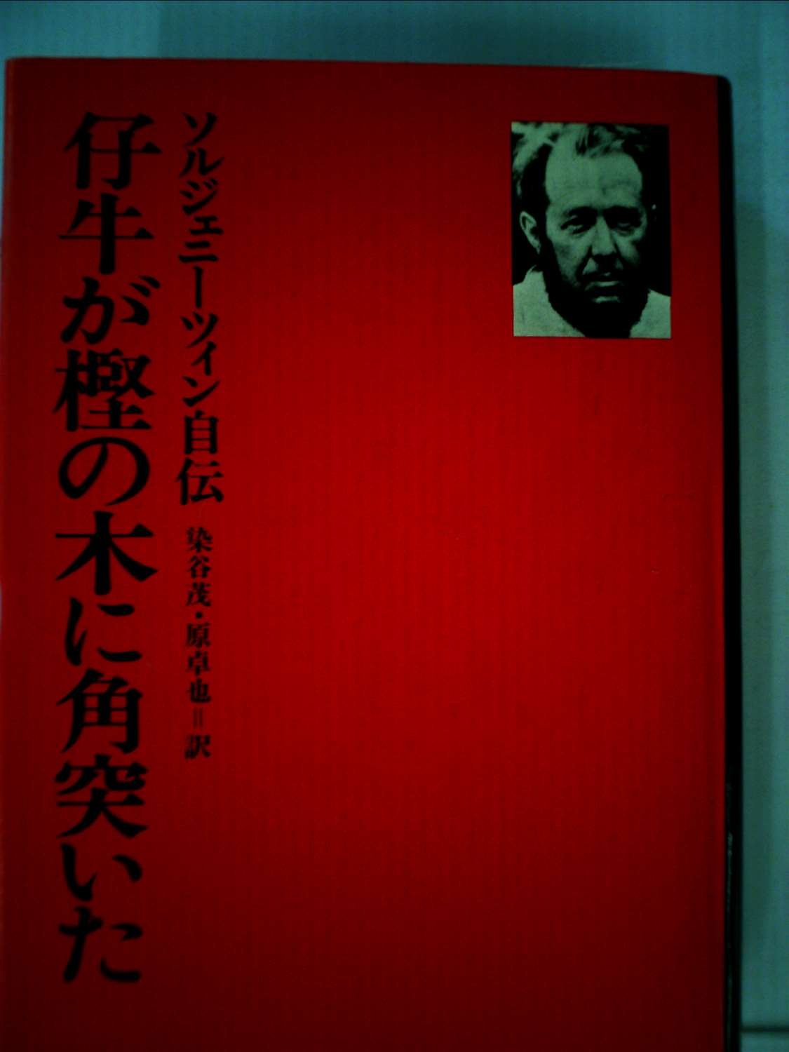 仔牛が樫の木に角突いた A・ソルジェニーツィン (著) 染谷茂・原卓也