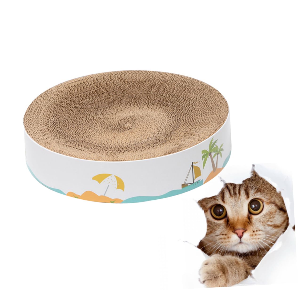 Griffoir pour chat rond creux Kisangel en forme de bol pour chaton à la maison