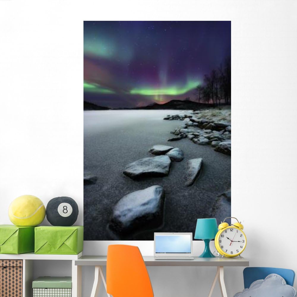 Wallmonkeys Aurora Borealis Over Sandvannet Wall Mural Peel and Stick Outer Space Graphic (72 in H x 48 in W) WM127158