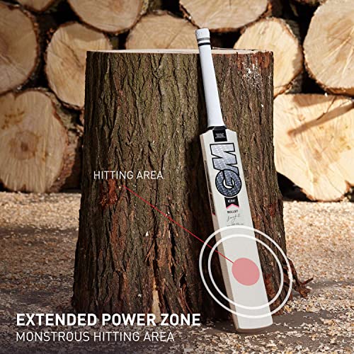 Image of GM Icon Bullet English Willow Short Handle Cricket Bat