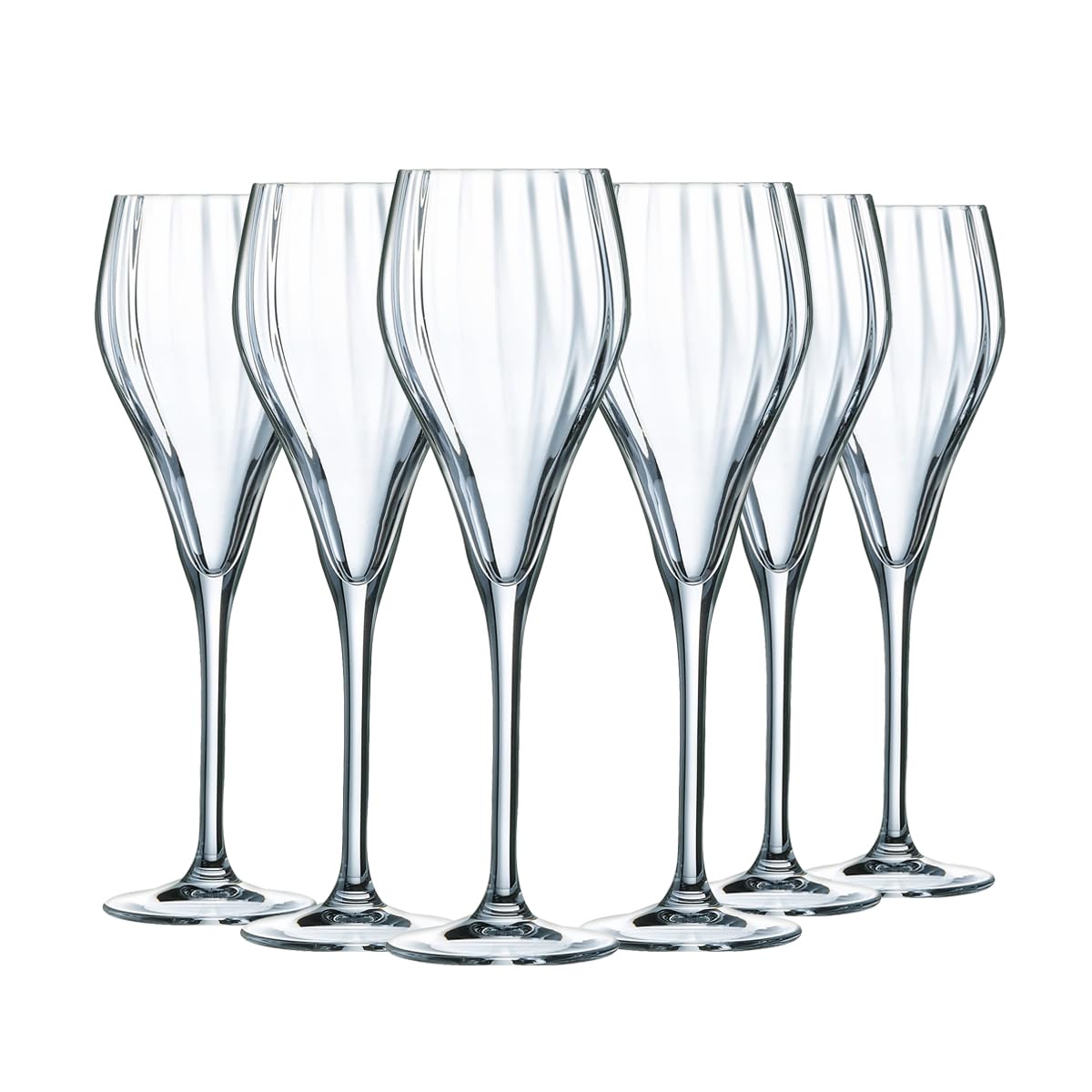 Chef&Sommelier Symétrie Collection 6 Champagne Flutes 16 cl Made in France Reinforced Packaging Colorless (Clear)
