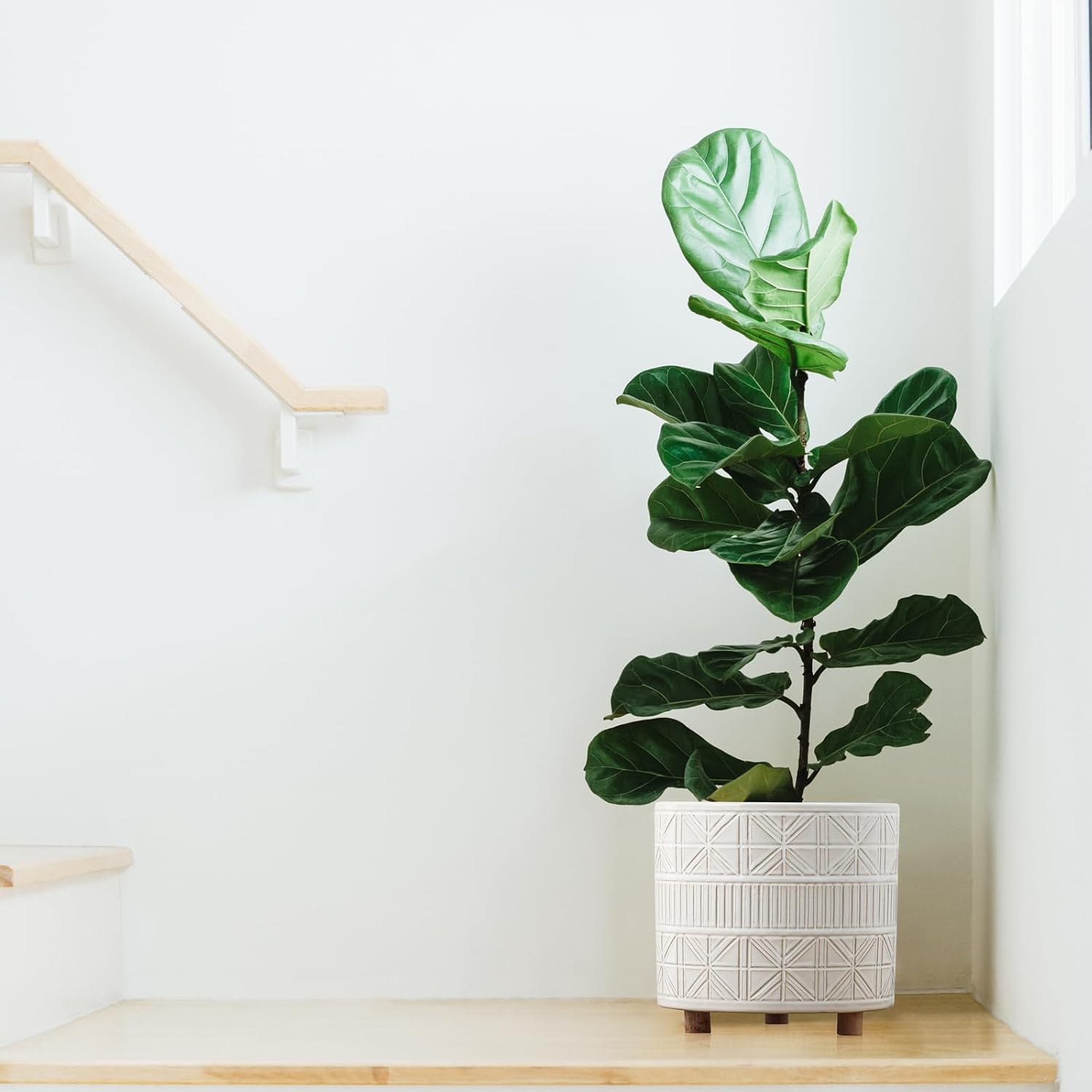 Ceramic Plant Pot with Foots: 10 Inch Planter with Wooden Legs - Large Pots for Indoor Plants - Modern Flower Pot for Home Office Patio Garden Windowsill