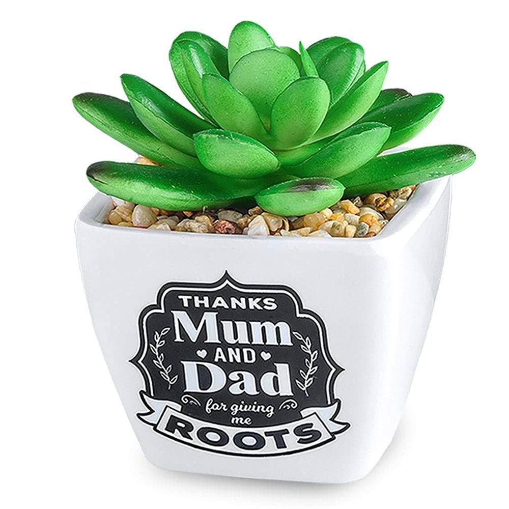 History & Heraldry Personalised Sentiment Succulents - Mum & Dad