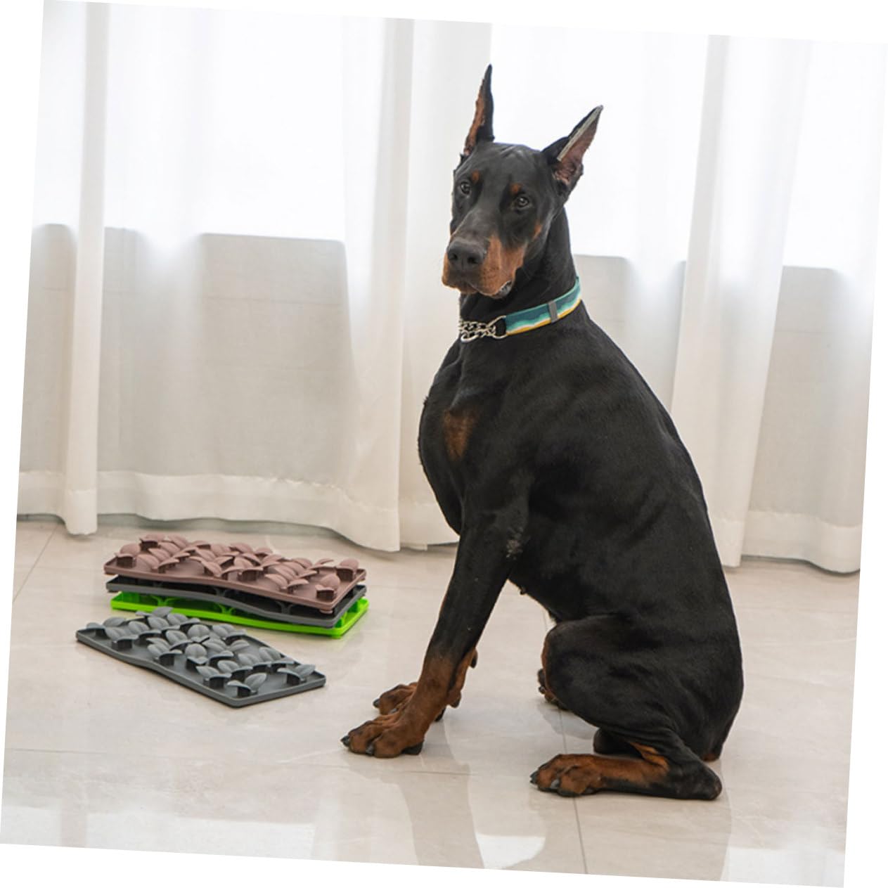 HANABASS 5paare Hund Ohrstütze Hund Ohren Aufsteller Kleberlose Unterstützung Für Stehende Ohren Sicheres Und Bequemes Zubehör Für