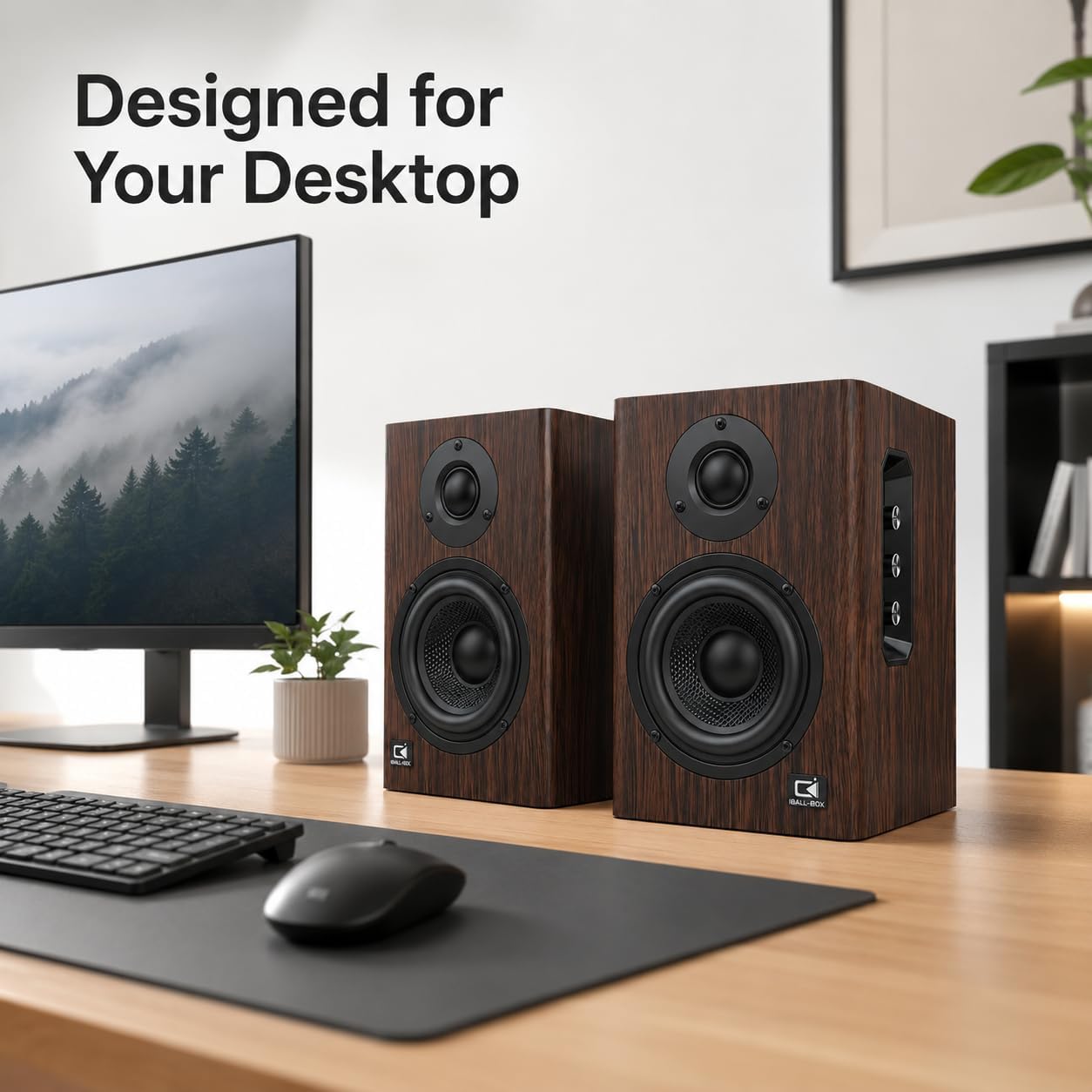 IBALL-BOX 100W Bookshelf Speakers