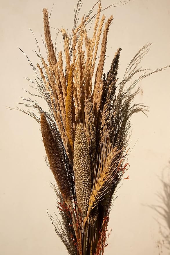 Mix Pampas Grass Decor, Including Pompas Floral, Reed Dried Grass and Bunny Tails Dried Flowers, Natural Dried Pampas Grass Bouquet for Boho Decor and Wedding Decoration-image-0
