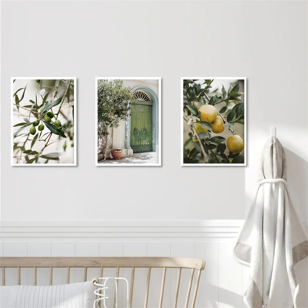 GKUVBF Stampe su tela con albero d'ulivo italiano, poster di arte botanica mediterranea moderna, decorazione murale per camera da letto (50x70cmx3/senza cornice)