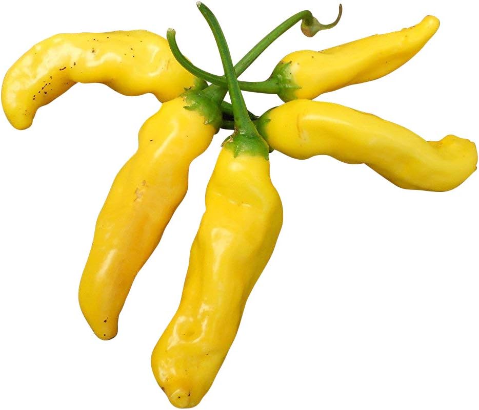 الأناناس Chilli Aji الأناناس 10 بذور الفلفل الحار اللذيذ مع نكهة الأناناس