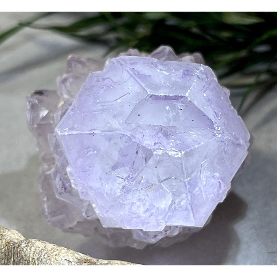 ダブルタビュラー　タントリックツイン　カクタスアメジスト　サボテン水晶　原石 Amazon.co.jp: ダブルタビュラー タントリックツイン カクタス