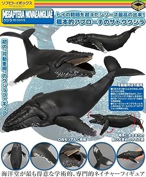 海洋堂 ソフビトイボックス ネッシー、ザトウクジラ、ザトウクジラ（限定） 613BYkarzrL._UF350,350_QL80_.jpg