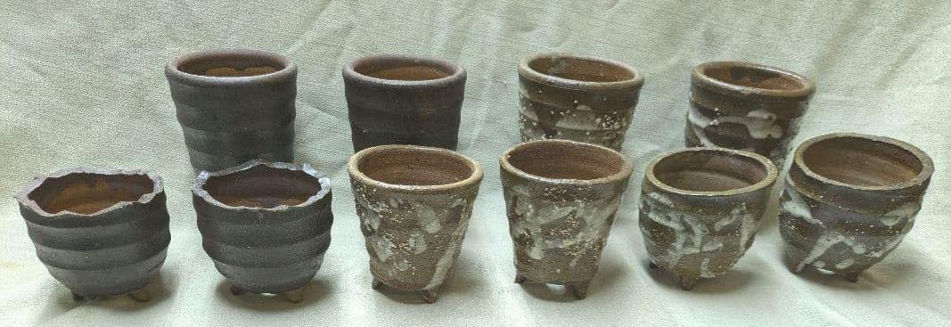 レトロ 山野草3号多肉にも最適!アラカルト10個超 セット レトロ 山野草3号多肉にも最適!アラカルト10個超 セット