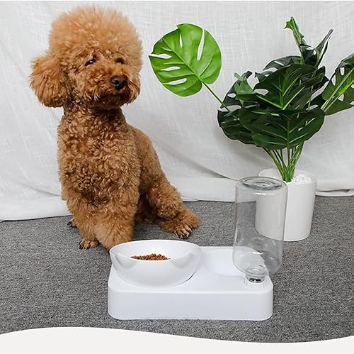 Miniatura 7 de Marchul Juego de cuencos para gatos con dispensador de agua, 15 cuencos inclinados y elevados para gatos de interior y perros pequeños