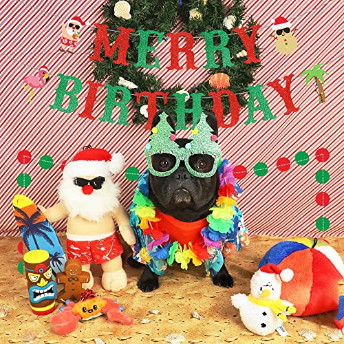 Merry Birthday Party Banner Red And Green Glitter & Christmas Circle Dots Banner For Christmas July Birthday Party Decorations Hawaii Tropical Summer Birthday Decorations Christmas Birthday Party Decorations #TOP3