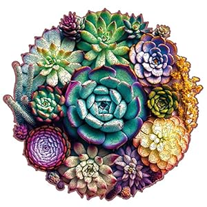 Wooden Jigsaw Puzzles – Mandala Succulent Plants, 200 Piece Luxurious Shaped Wooden Puzzles for Adults and Kids, Family Game, Medium 11.3” x 10.9”