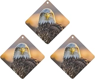 Car Air Fresheners 3 Pcs Hanging Air Freshener Golden Sunset Bald Eagle Car Aromatherapy Tablets Wardrobe Pendant Fragrance Scented Cards for Rearview Mirror Bedroom Car Interior Decor
