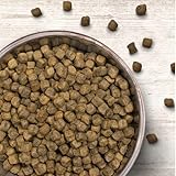 Wildborn Ente & Kartoffel Adult 1 x 12 kg | Hunde-Trockenfutter für Erwachsene Hunde mit frischem Entenfleisch | 76% tierisches Protein