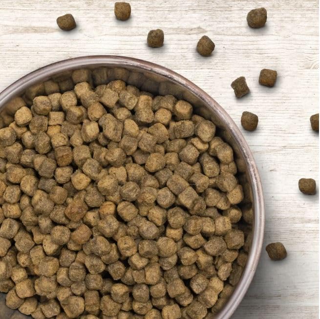 Wildborn Ente & Kartoffel Adult 1 x 12 kg | Hunde-Trockenfutter für Erwachsene Hunde mit frischem Entenfleisch | 76% tierisches Protein