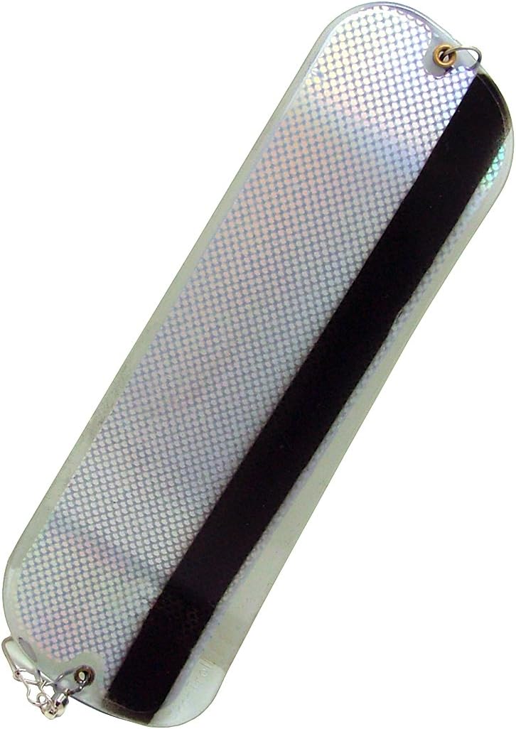 Hotchip 11 Flasher W/Echip