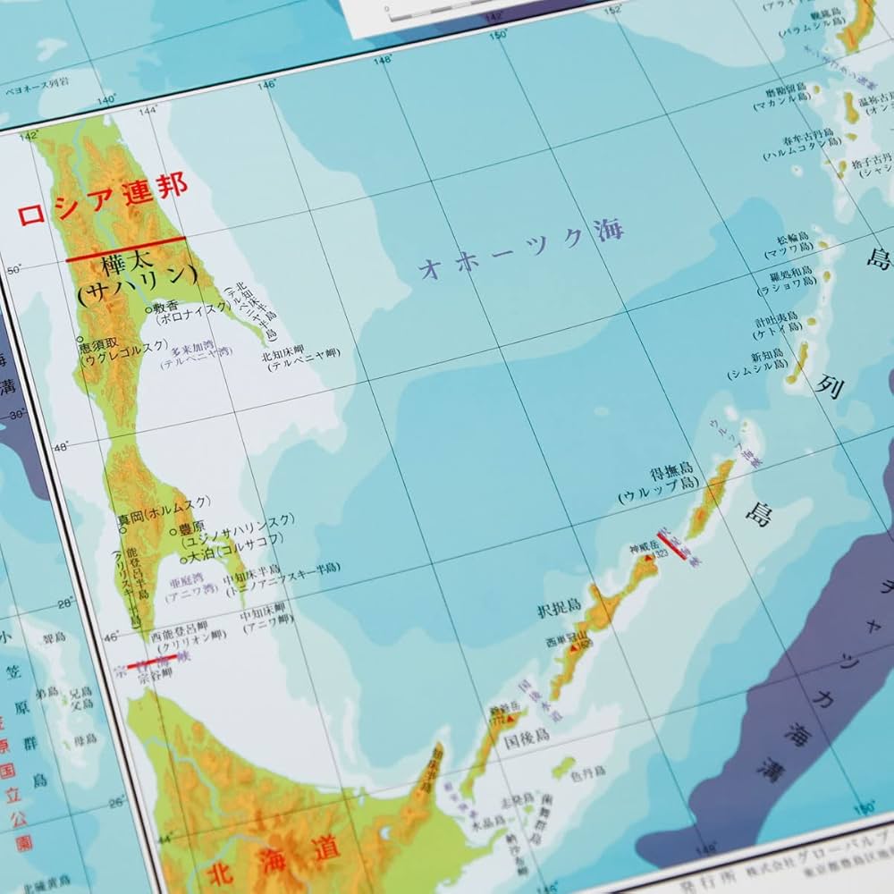 613BnvWnruL._AC_UF1000,