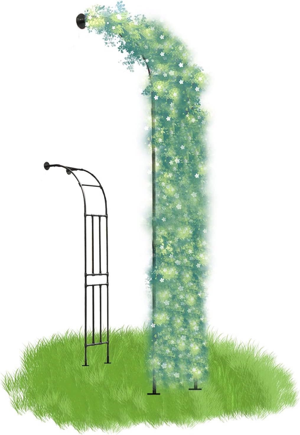 Rose Arch Half-Side, Durable Anti-scalding Metal, All Kinds of Climbing Plants, Half Climbing Frame, Outdoor Plant Climbing for Garden, Lawn, Patio, Garden Decoration (Size : W60xH240cm)