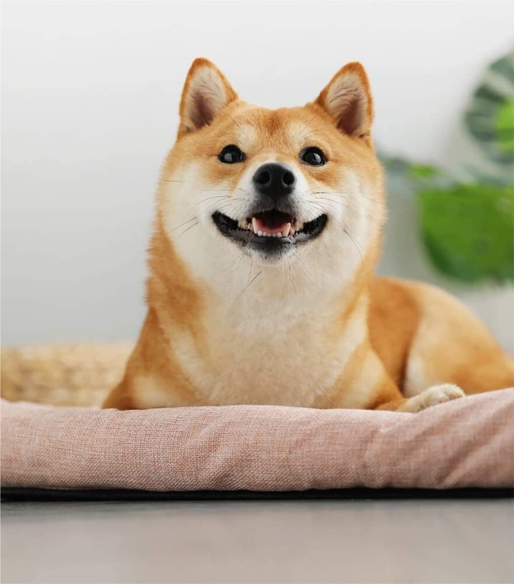 IRYZE Beruhigendes Katzenbett Hunde Haustier Betten Katze Hundebett Sommer Kühlbett Welpen Haustier Matte Pad Haus Bequeme Gepolsterte Weiche Matte Haustierbett (Color : B, Size : 38 * 29 * 6CM)