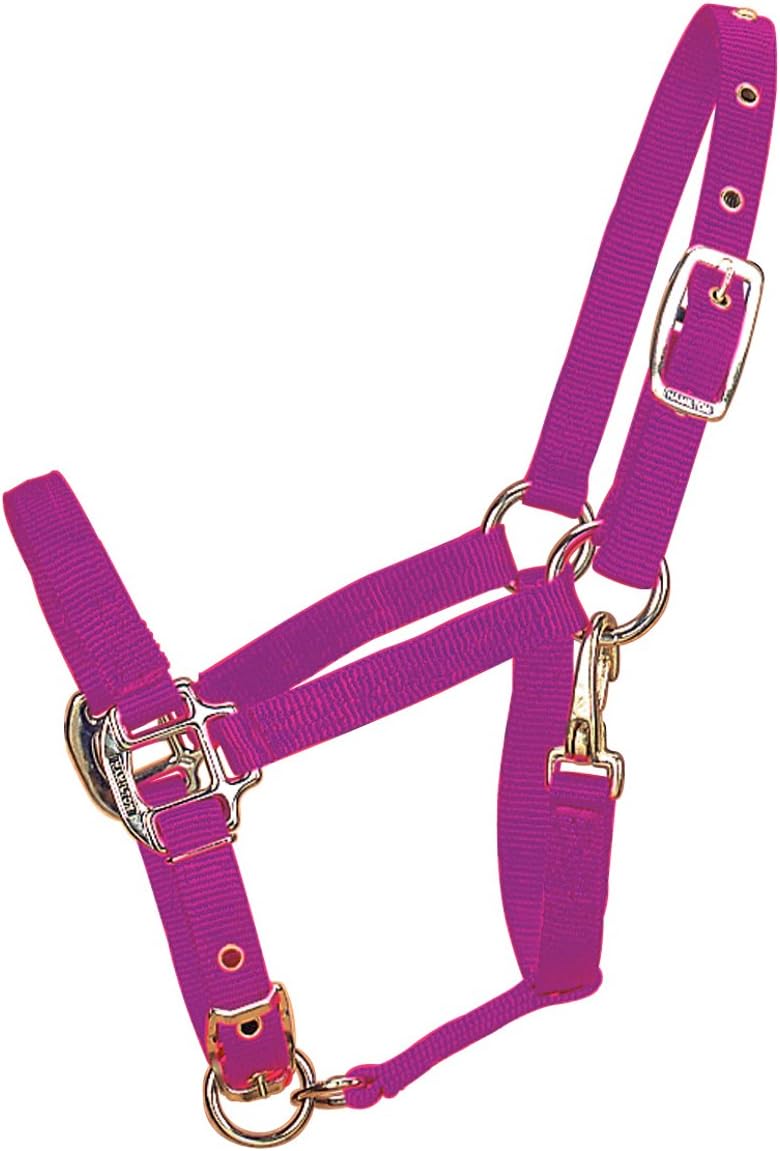 Hamilton 3/4-Inch Adjustable Chin Halter with Snap,200 to 300-Pound Weanling, Green